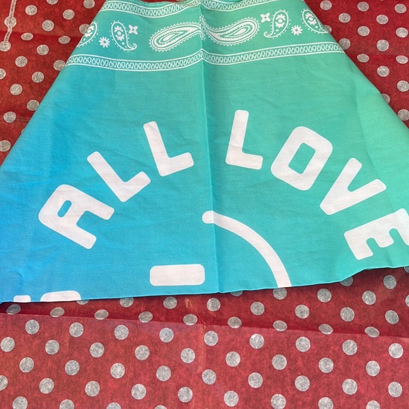 NWT PINK BUNDLE , BADANA , PINK DOG TRINKET DISH , & PINK MAKE UP BAG -ZIP UP - Picture 4 of 5